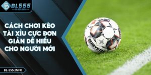Cách Chơi Kèo Tài Xỉu Cực Đơn Giản Dễ Hiểu Cho Người Mới