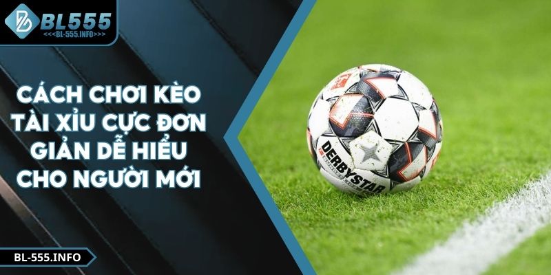 Cách Chơi Kèo Tài Xỉu Cực Đơn Giản Dễ Hiểu Cho Người Mới
