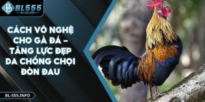 Cách Vô Nghệ Gà Tre - Tăng Lực Đẹp Da Chống Chọi Đòn Đau