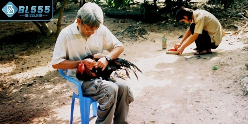 Cách vô nghệ gà tre là gì