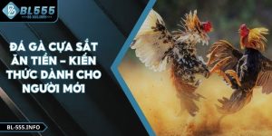 Đá Gà Cựa Sắt Ăn Tiền - Kiến Thức Dành Cho Người Mới